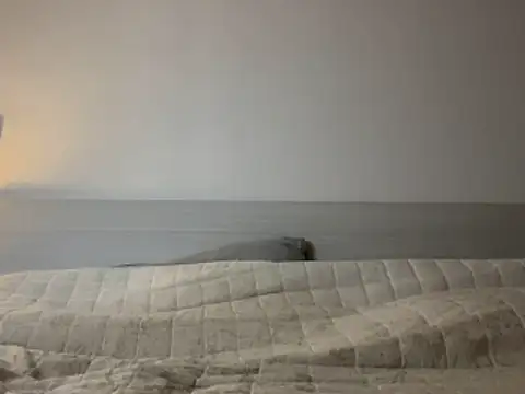 Snapshot of Diletta21 chatting on February 11, 2026, 3:50 pm Diletta21 online show from February 11, 2026, 3:50 pm