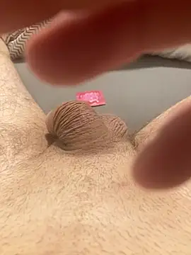 piler123 online show from February 6, 2026, 1:54 am