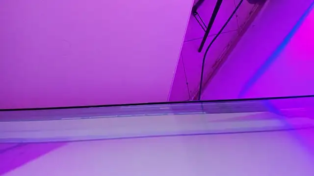 Snapshot of sarah__bigboobs chatting on March 21, 2026, 10:20 am sarah bigboobs online show from March 21, 2026, 10:20 am