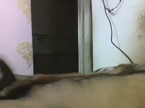 Snapshot of Desi_GfBf chatting on March 3, 2025, 5:50 pm Desi GfBf online show from March 3, 2025, 5:50 pm