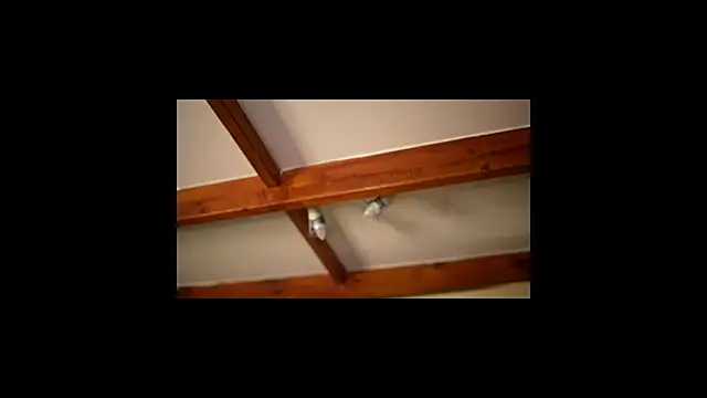 Snapshot of Bellis_Perenis chatting on February 26, 2026, 9:30 am Bellis Perenis online show from February 26, 2026, 9:30 am