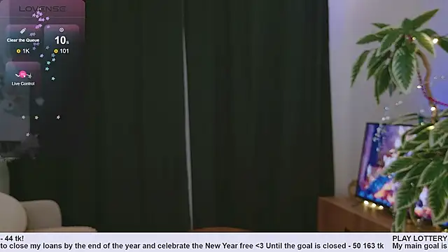 Pink SeaGul online show from December 31, 2024, 3:42 pm