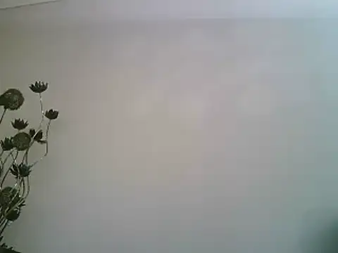 Snapshot of PocoLoco420 chatting on September 23, 2025, 8:56 pm PocoLoco420 online show from September 23, 2025, 8:56 pm