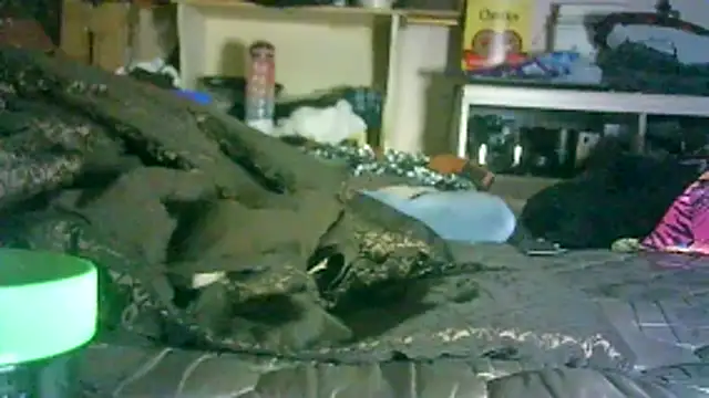 Snapshot of DI4MOND_FIR3 chatting on June 3, 2026, 4:48 am DI4MOND FIR3 online show from June 3, 2026, 4:48 am