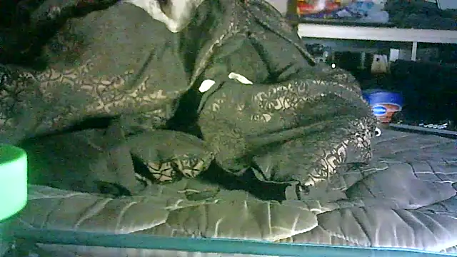 Snapshot of DI4MOND_FIR3 chatting on June 11, 2026, 2:53 am DI4MOND FIR3 online show from June 11, 2026, 2:53 am