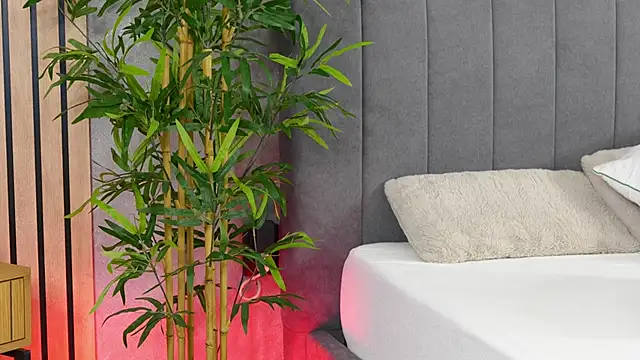 Snapshot of celestara chatting on December 6, 2024, 12:16 pm celestara online show from December 6, 2024, 12:16 pm