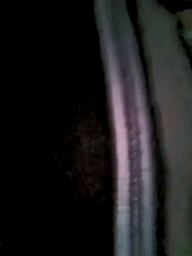 Fuckmehard2xx online show from March 2, 2025, 9:42 am