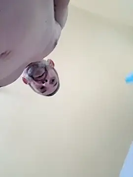 Snapshot of chris_sbh chatting on February 1, 2025, 2:45 pm chris sbh online show from February 1, 2025, 2:45 pm