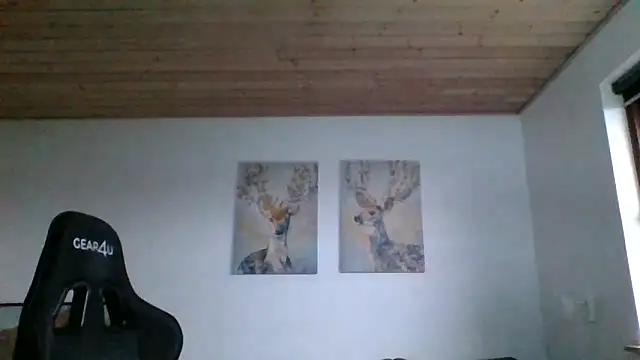 Snapshot of Gotta1 chatting on January 19, 2025, 2:38 pm Gotta1 online show from January 19, 2025, 2:38 pm