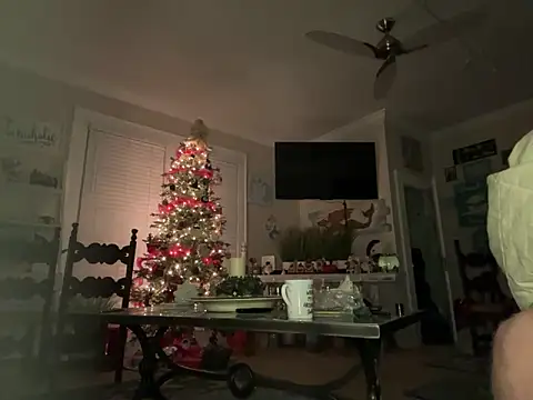 Snapshot of cloudy_switch chatting on December 26, 2024, 10:48 am cloudy switch online show from December 26, 2024, 10:48 am