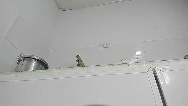 Sophie sweett19 online show from January 23, 2025, 3:37 am