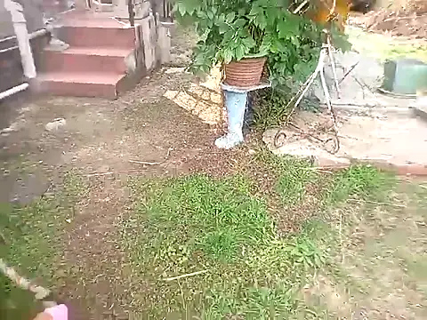 Snapshot of bustybillies chatting on October 11, 2025, 3:54 pm bustybillies online show from October 11, 2025, 3:54 pm