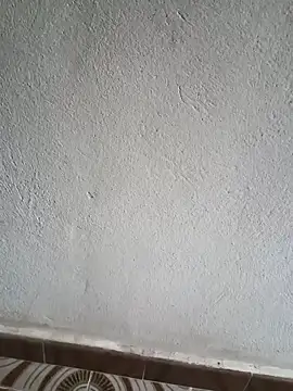 Snapshot of El_baby12 chatting on September 24, 2025, 4:21 pm El baby12 online show from September 24, 2025, 4:21 pm