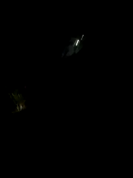 perlita05 online show from November 16, 2025, 2:28 am