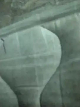 lm279 online show from February 19, 2025, 8:20 pm