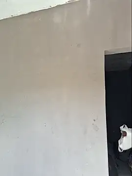 Snapshot of luuhcat09 chatting on November 25, 2025, 1:11 pm luuhcat09 online show from November 25, 2025, 1:11 pm