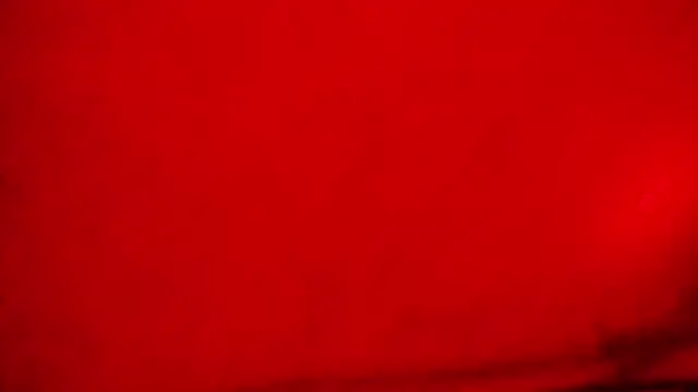 Nathaly love96 online show from February 12, 2026, 5:08 pm