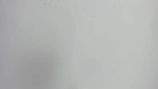 Snapshot of missexy303av chatting on September 24, 2025, 8:56 pm missexy303av online show from September 24, 2025, 8:56 pm