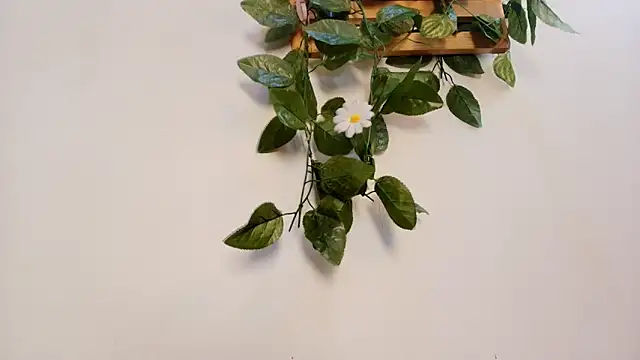 Snapshot of mss_samy chatting on February 13, 2026, 3:13 am mss samy online show from February 13, 2026, 3:13 am