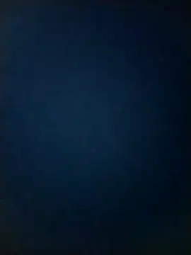 cindy damm online show from December 21, 2024, 6:34 pm