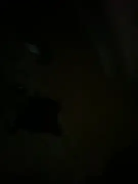 hardbigcock16 online show from April 3, 2026, 6:17 pm