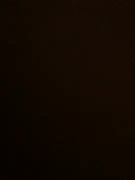 Lona Lina online show from January 19, 2025, 12:28 pm