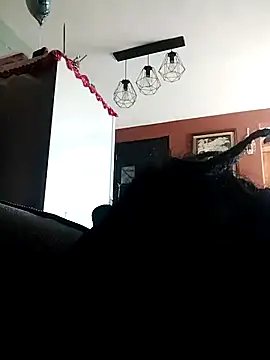 Bola453 online show from March 2, 2026, 4:58 pm