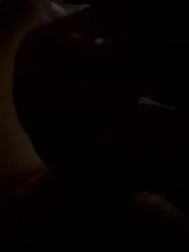 rusken123 online show from January 15, 2026, 5:49 pm