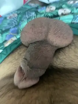 benben190 online show from January 9, 2025, 3:34 pm