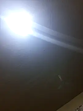 SINUECASTILLO online show from February 25, 2026, 12:37 pm