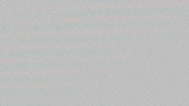  Cristal evans online show from December 14, 2024, 3:51 am