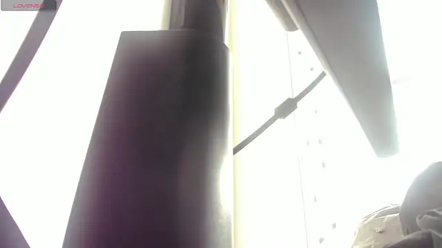 soyzarahtorres online show from February 4, 2026, 9:53 pm