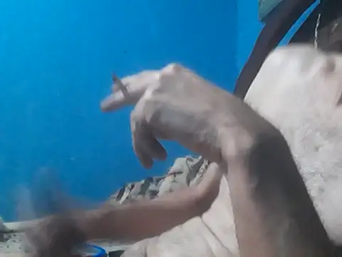 Snapshot of hugosafado333 chatting on October 15, 2025, 6:35 am hugosafado333 online show from October 15, 2025, 6:35 am