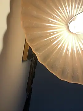 4n4l1zz4m1 online show from February 5, 2026, 3:27 pm