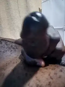 Dick undisputed online show from December 30, 2024, 9:59 am