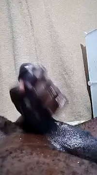 Dick undisputed online show from January 13, 2025, 12:19 am