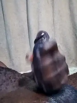 Dick undisputed online show from January 17, 2025, 8:13 am