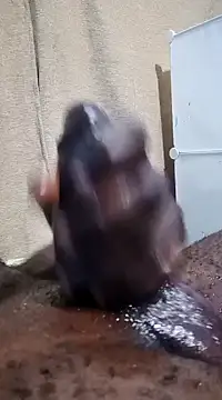 Dick undisputed online show from January 17, 2025, 12:10 pm