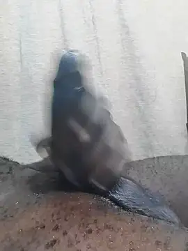 Dick undisputed online show from February 23, 2025, 12:16 pm