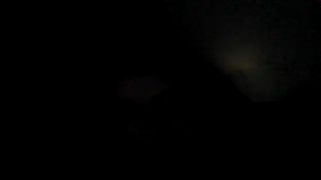 Hornyparratjie online show from October 4, 2025, 1:14 am