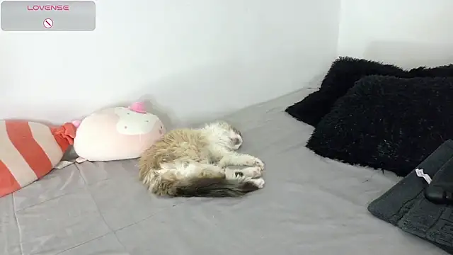 SophieBaker   online show from May 2, 2026, 2:16 am