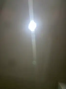 pawmistry online show from March 5, 2026, 3:57 am