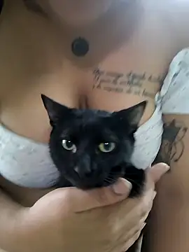 EmpaticBolillo online show from November 10, 2025, 4:17 pm