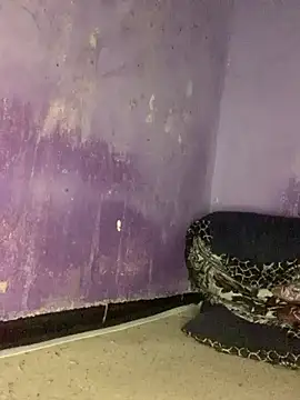 Sexy king4 online show from June 8, 2026, 2:01 am