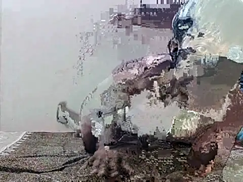 Snapshot of HunkyAriyan chatting on November 11, 2025, 1:44 pm HunkyAriyan online show from November 11, 2025, 1:44 pm