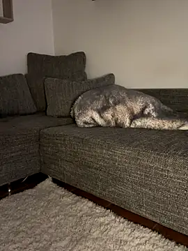 godspot  online show from October 30, 2025, 8:20 pm