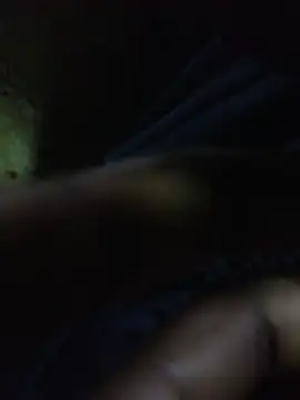 Snapshot of ALEX-BHASHI chatting on October 17, 2025, 12:47 am ALEX-BHASHI online show from October 17, 2025, 12:47 am