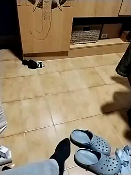 minitranca online show from October 26, 2025, 11:20 pm