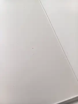 Snapshot of bbferlinaa chatting on March 21, 2026, 7:50 pm bbferlinaa online show from March 21, 2026, 7:50 pm