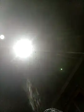 bbferlinaa online show from June 16, 2026, 7:44 am